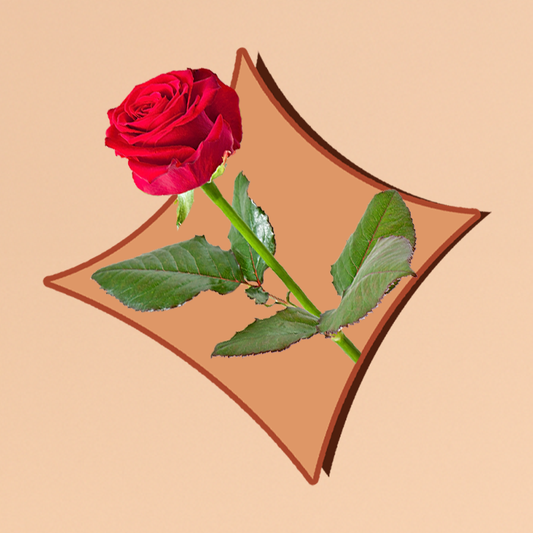 وردة